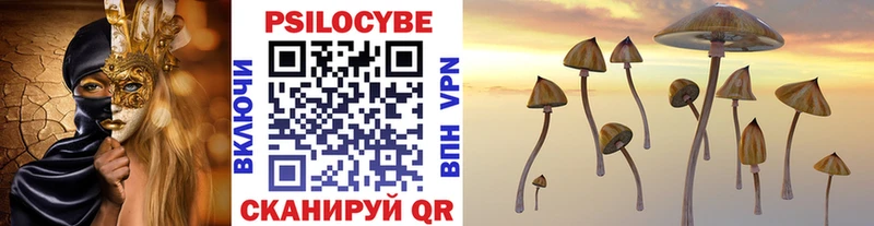 Галлюциногенные грибы MAGIC MUSHROOMS  купить  сайты  Шумиха 